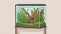 Le guide complet de l'aquariophilie